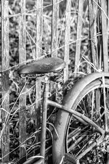 vintage and abandoned bicycle