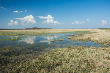 Sky reflecting in the water on the meadow
