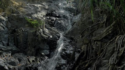 Close-up slow motion shot of small waterfall in the tropical rainforest jungle of Philippines. Small hidden rocky waterfall in jungle valley. Waterfall from a small mountain river in low mountains.