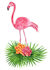 Tropical collage with leaves, flowers and pink flamingo. Hand drawn watercolor illustration.