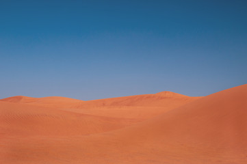Fototapeta na wymiar Dünen in der Sahara