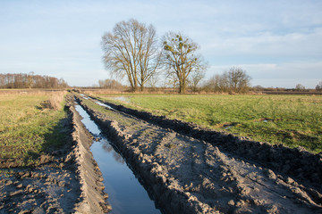 Fototapeta premium Muddy road through fields after rain