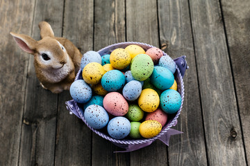 Easter eggs with bunny on wooden background in spring time