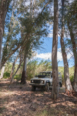 Rural Andalucia. Spain. 4x4 terrain vehicle behind trees in forest.