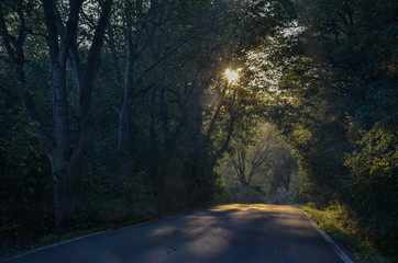 Light at the end of the road