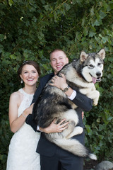 Naklejka na ściany i meble Bride and groom with husky dog