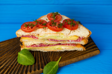 Sandwich with salami, cheese and tomatoes