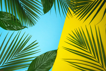 Fototapeta na wymiar Tropical green palm leaves on colorful background. Bright yellow and blue colors. Minimal nature summer concept. Top view, flat lay, copy space.