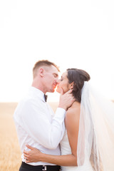 bride and groom sensually kissing at sunset in wheat field