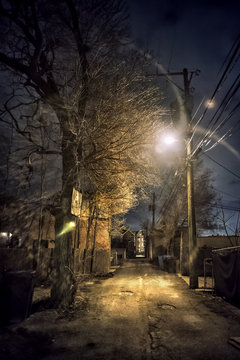 Dark And Scary Vintage Urban City Alley With An Old Tree At Night In Chicago