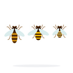 Bee different size vector flat material design isolated object on white background.