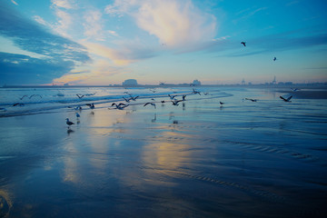 Obraz na płótnie Canvas blue seaside with birds