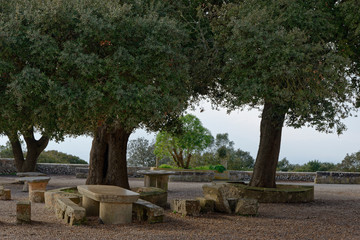 Olivenbäume am Kloster Randa, Randa, Mallorca, Spanien