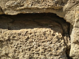 old stone wall