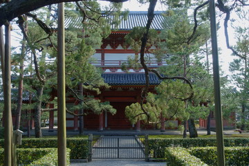 京都、大徳寺の山門の裏側と大樹のイブキ