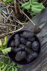 organic potato
