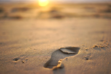 Ground Up - footprint