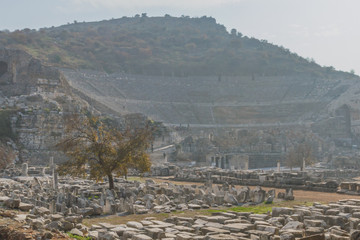 Ruins of the Ancient Greek city of Ephesus near Sel&ccedil;uk, Turkey
