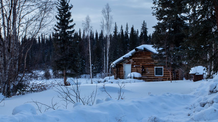 Fototapeta na wymiar house in winter forest