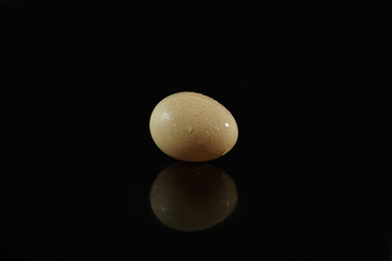 An Egg isolated on black background