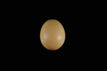 An Egg isolated on black background