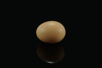An Egg isolated on black background