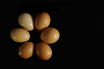 Eggs with reflection