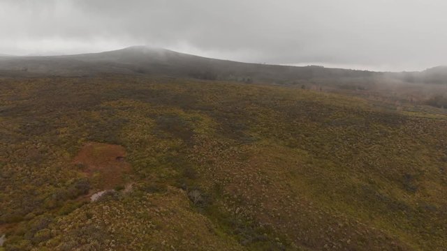The slopes of Mount Kenya on 2800m above sea level, during an overcast day. Aerial shots.