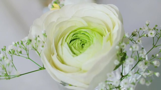 Beautiful white flower for table decorations.