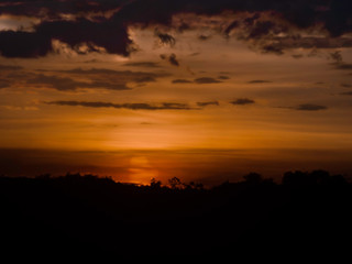 AMAZONAS