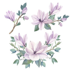 Set watercolor elements of magnolia.Collection garden pink flowers, leaves, branches. Botanic illustration isolated on white background, bud of flowers
