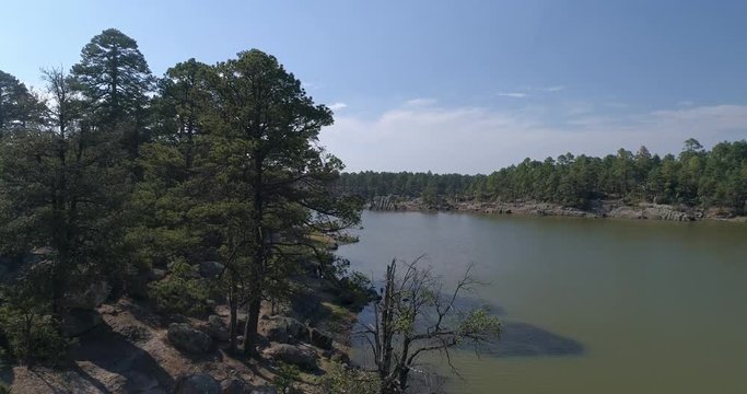 Aerial jib down shot of pine trees on the shore of Arareco Lake in the Copper Canyon Region, Chihuahua.