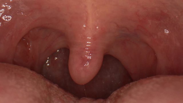 Macro close-up of the inside of a human mouth as the uvula dangles and moves around