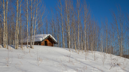 house in winter forest