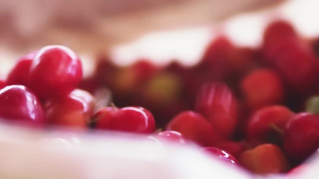 Freshly picked acerola cherries drop into a basket. Close up, long take.
