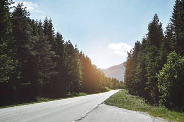 Naklejka premium asphalt road with tree