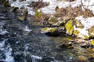 pusterwald
