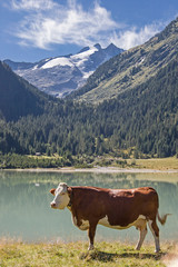 Almsommer am Durlaßbodenspeichersee