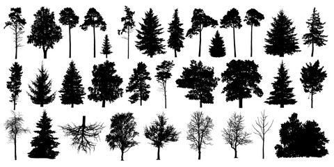 Tree silhouette black vector. Isolated set forest trees on white background © nosyrevy