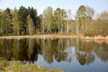 Spring forest near the mirror surface of the water river lake with perfect smooth reflection, outside of the city