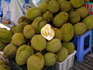 Fruits of durian have very firm cover and are covered with powerful prickles
