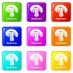 Mushroom icons set 9 color collection isolated on white for any design