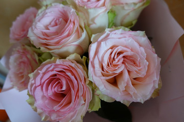 Pink roses. A bouquet of flowers close-up. Pradnichny bouquet. Present