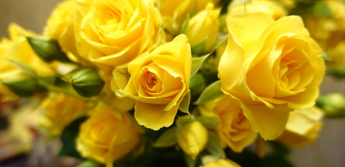 Fresh yellow roses bouquet flower background