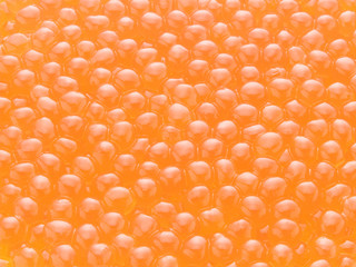 イクラ塩漬け 塩漬け イクラ