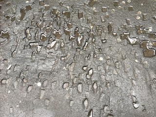 street