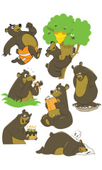 Cartoon vector set of brown grizzly bear, isolated on white background. Teddy in different pose and activities