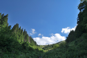 The funnel area in the Berkovitsa Balkan