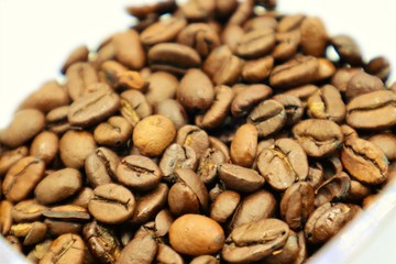 焙煎前のコーヒー豆