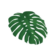 Floral watercolour green vector illustration